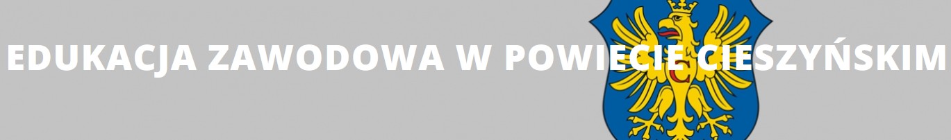 edukacja_zawodowa_powiat